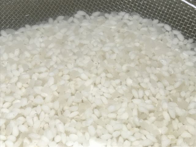 もち米とうるち米です。水に浸しています。