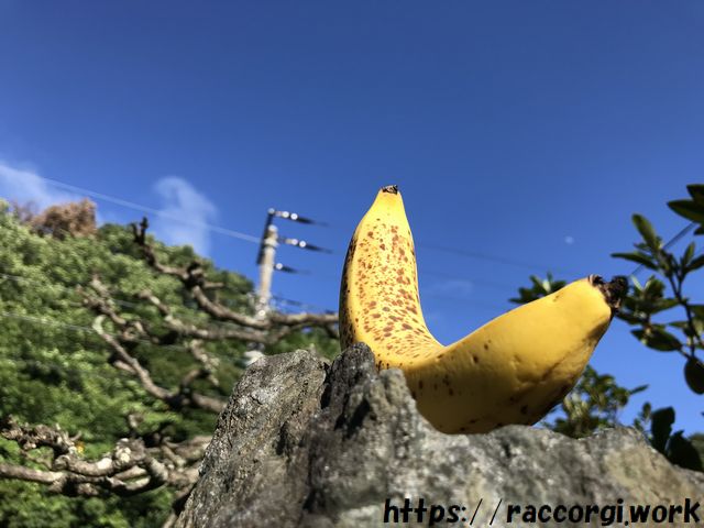 岩の上のバナナと青空の写真