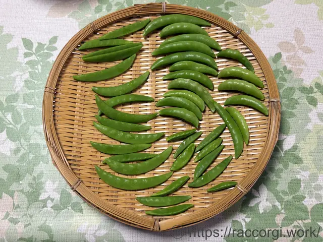 収穫したスナップエンドウ
