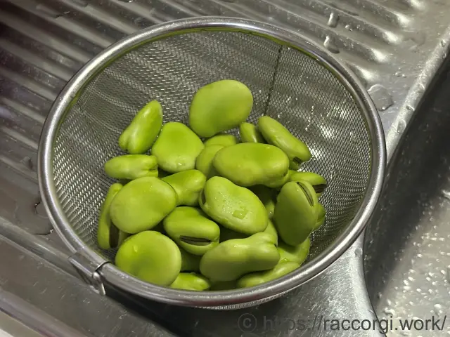 収穫したそら豆