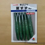 きゅうりの種