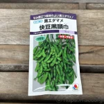 黒枝豆（快豆黒頭巾）の種