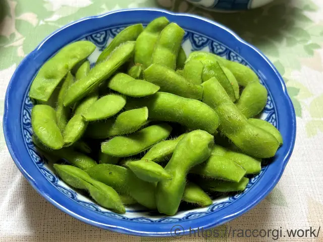 収穫した枝豆
