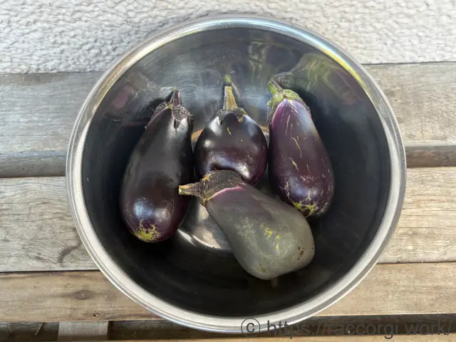 収穫したなす
