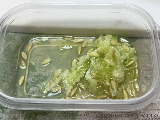 きゅうりの種