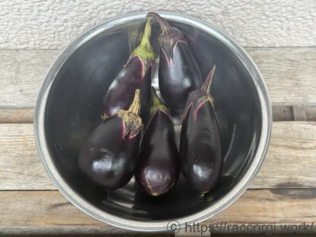 収穫したなす