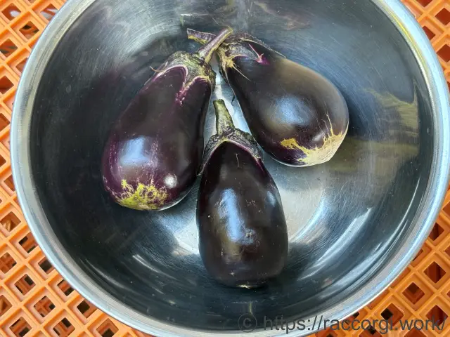 収穫したなす