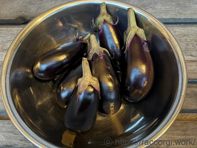 収穫したなす