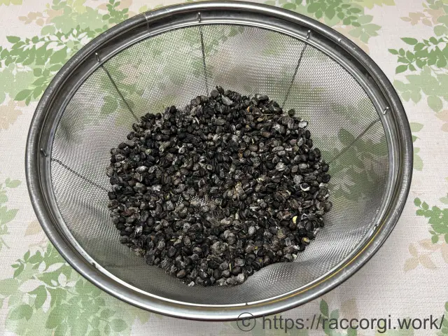 黒枝豆(快豆黒頭巾)の種