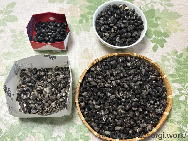 枝豆の種