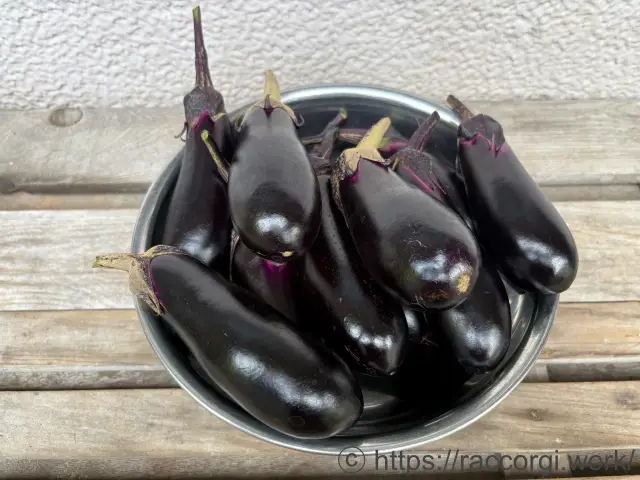 収穫したなす