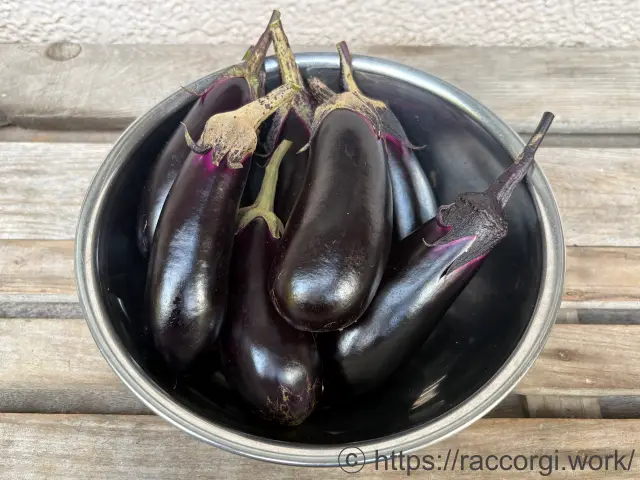 収穫したなす