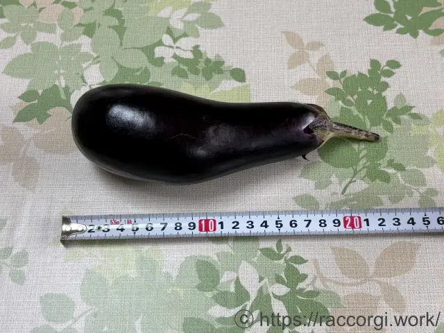 収穫遅れの巨大茄子