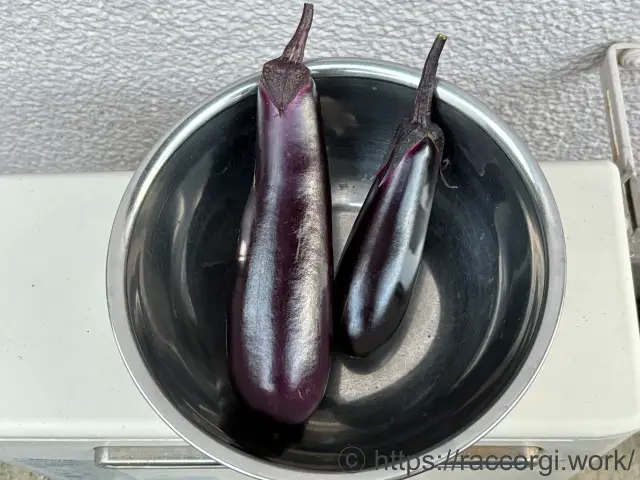収穫したなす