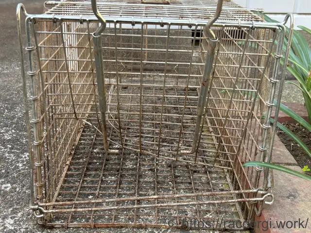 アライグマに破壊された箱罠