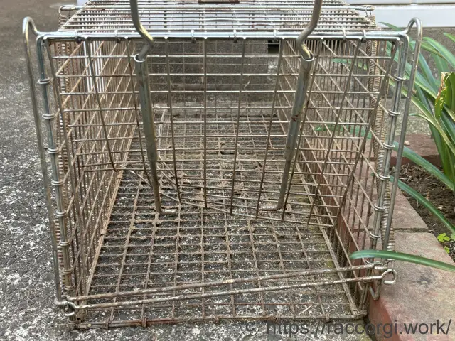 アライグマに破壊された箱罠