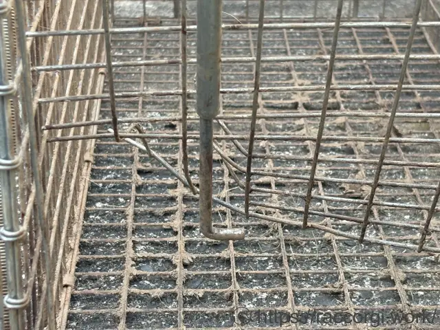 アライグマに破壊された箱罠